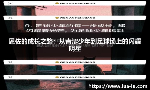 333体育直播