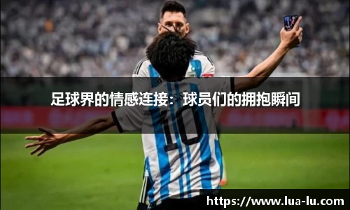 333体育官网